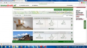 screenshot eines Wohnschnäppchens auf www.immodirekt.at. 18 Quadratmeter um 450 Euro.