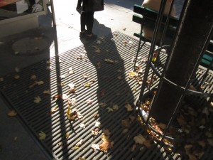 IMG_6786
