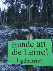 hunde an die leine