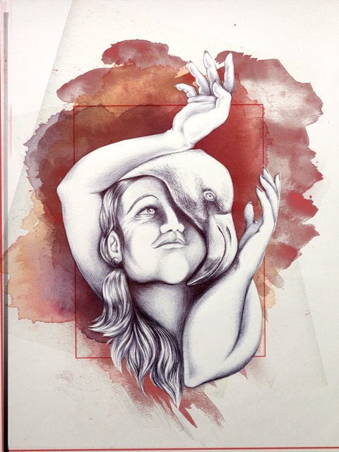 flamingo02_renk