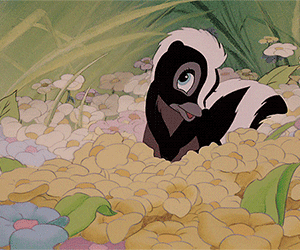 5.shy