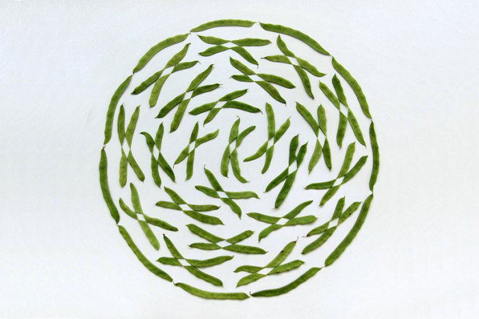 the-geometric-food-art-by-turkish-photographer-c59fakir-gc3b6kc3a7ebac49f-18