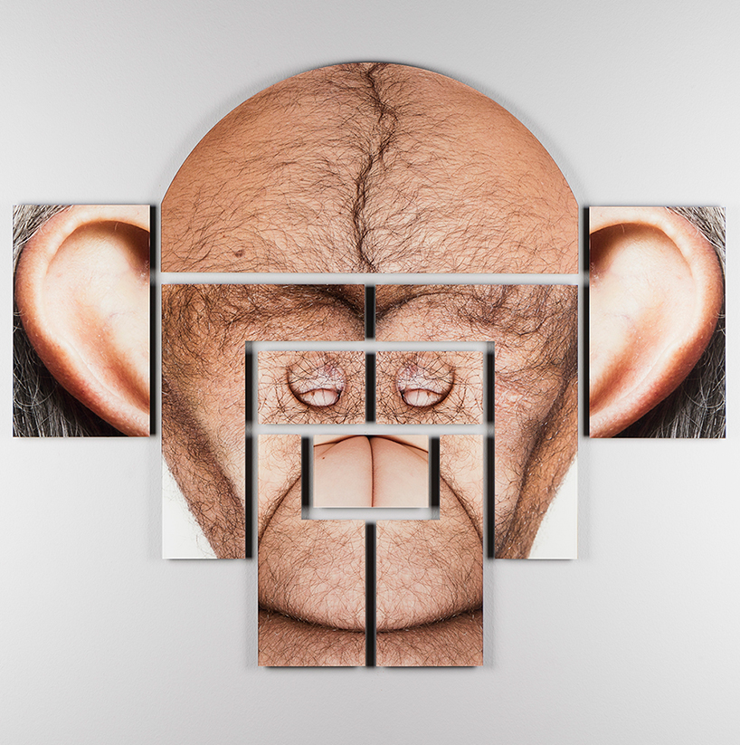 suspicious-affinities 4