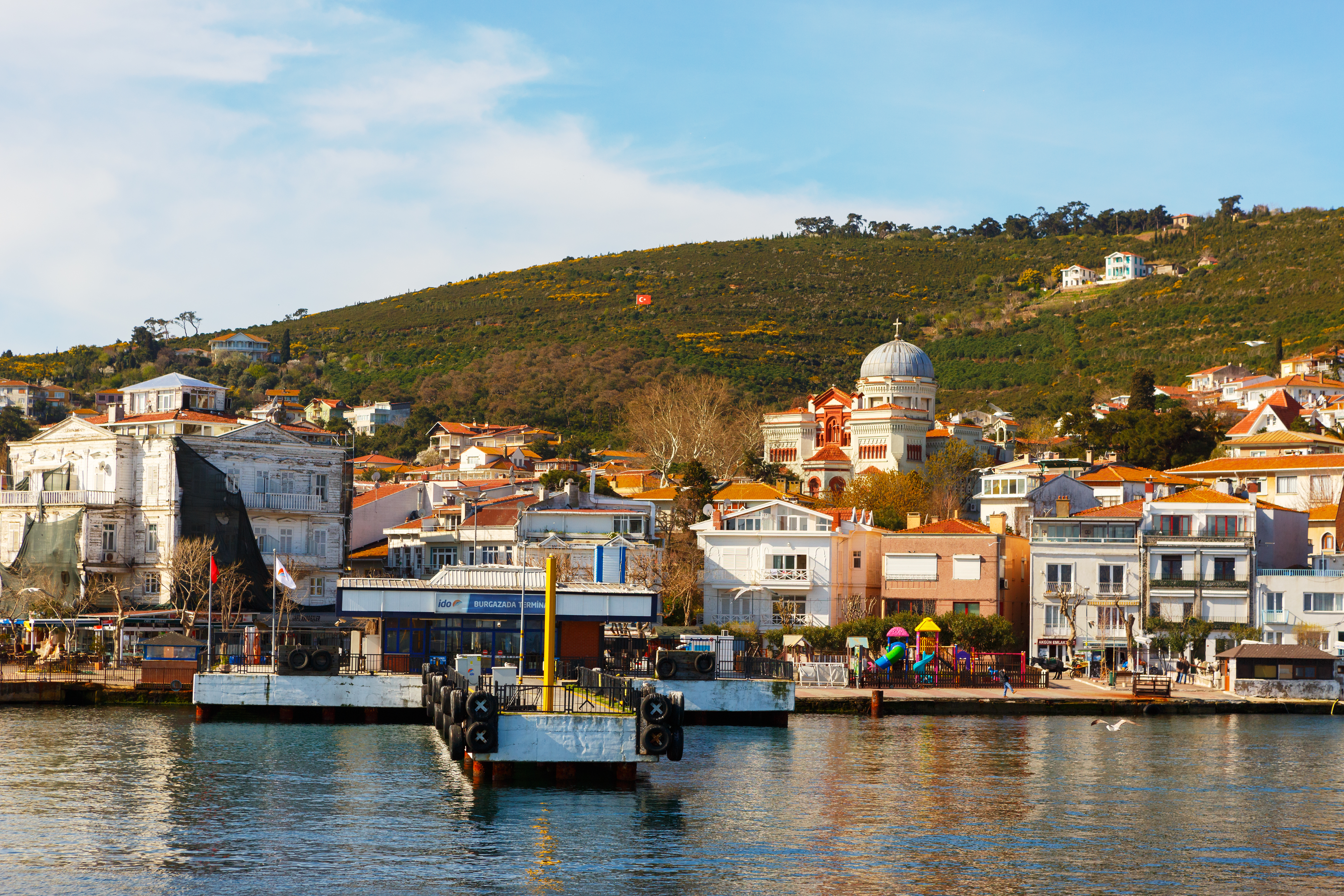 Yavuz Sariyildiz / Shutterstock.com