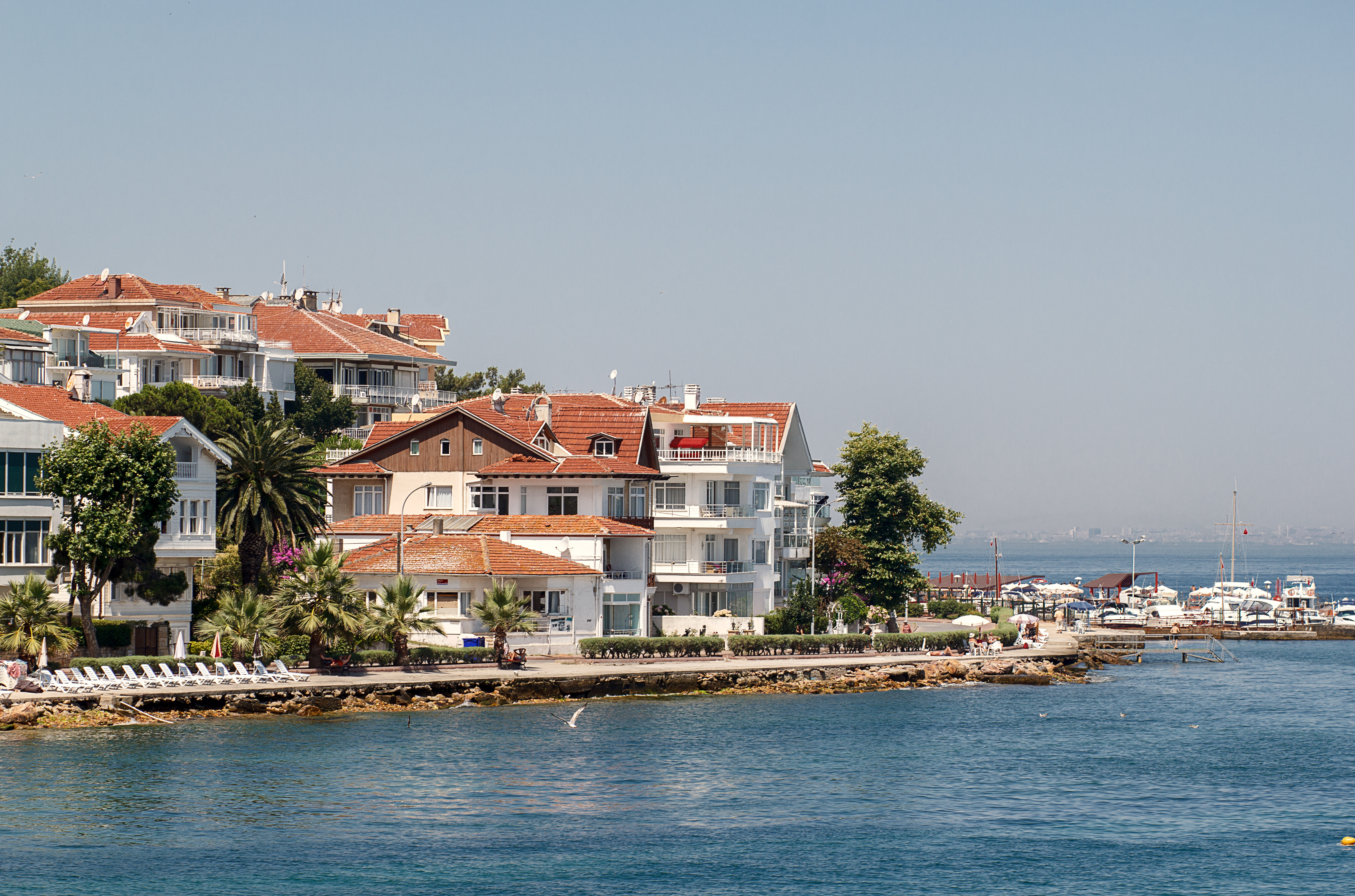 Aisylu Ahmadieva / Shutterstock.com