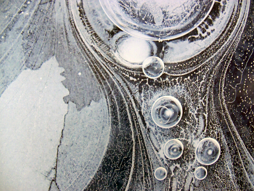 sköppel_frozen rhine