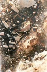 (c) Naoya Hatakeyama