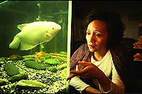 What time is it there? (Ni neibian jidian) (R: Tsai Ming-Liang)