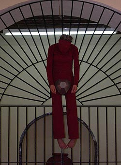 Robin Poitras