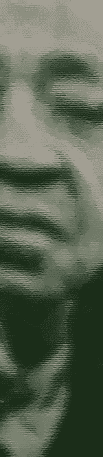 Illu