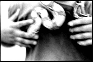 Pieta Brown