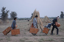 Darjeeling Limited (R: Wes Anderson)