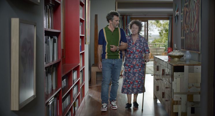 Leid und Herrlichkeit (Pedro Almodóvar)