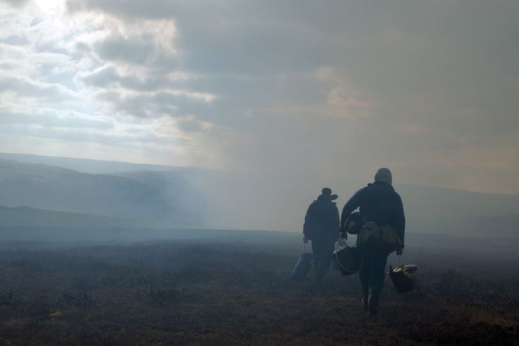 God's Own Country (Francis Lee)