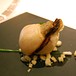[OB-TF723_0605di_A_20120605044302.jpg]