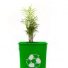 eco-friendly