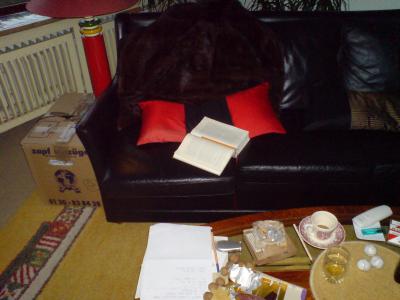 Pynchon-lesen-9