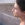 Nina Ippolito's avatar image