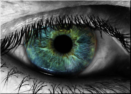 Auge • © Thomas Seliger