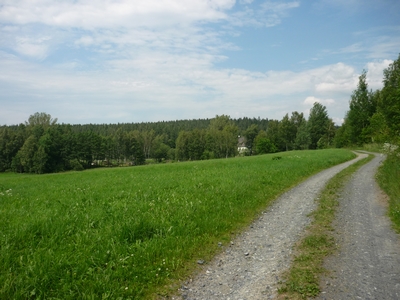 Der Weg vom Wendenhammer zum Weiher