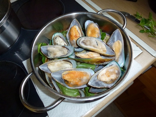 greenshell