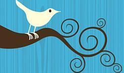 Twitter Twitter