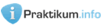 Logo_praktikum_info