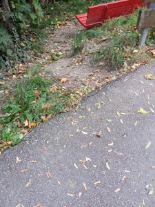 Früher romantischer Ort zum Kuscheln. Heute ein tödlicher Hang zum letzten Abgang.