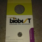 Natürliches "Doping" für Weihnachtssterne sieht so aus.