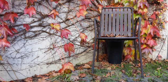 Herbst Stuhl