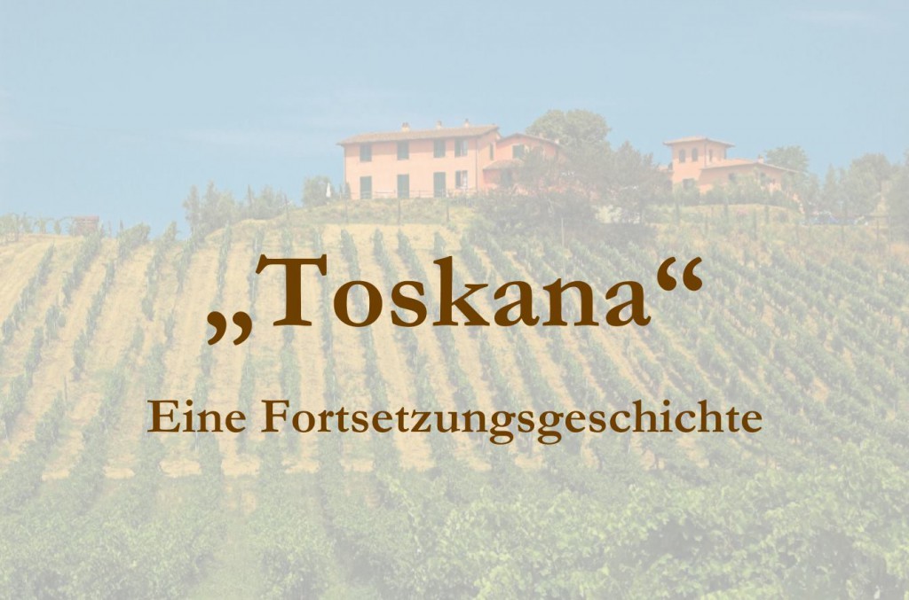 Kapitel 2: Risse an der Oberfläche