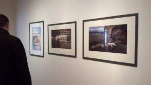 Jim Brandenburg, Burghausen, Haus der Fotografie Sonderausstellung