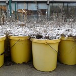 Asideseeing #2: Goldgelbes Eimermeer – Einfach mal Gras drüber wachsen lassen