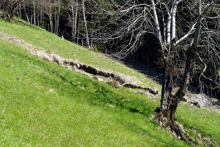 Eine absolut gefährliche Blaike am oberen Rand einer Bergmahd. Ein massiver Schlagregen kann eine riesige Mure auslösen (Bild: Danijel Jovanovic)