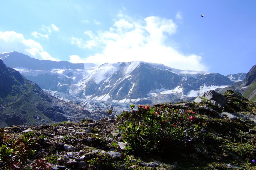 (c) Christian Payer, Pitztal, flickr.com