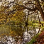 Die nützlichsten Lieder für den kommenden Herbst (Teil 1)