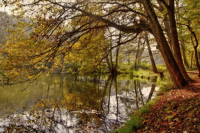 Die nützlichsten Lieder für den Herbst (Teil 2)
