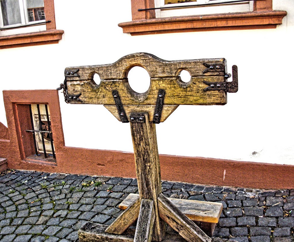 Von Gesinnungsterror, Schwarmverhalten und Ideologien