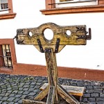 Von Gesinnungsterror, Schwarmverhalten und Ideologien