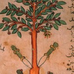 Die Ringelblumenbotin #1: Über das Ritual der Einbalsamierung