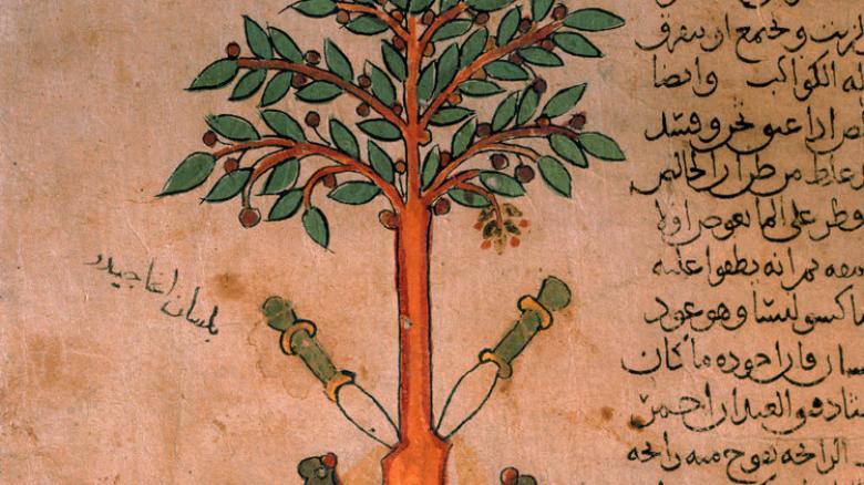 Die Ringelblumenbotin #1: Über das Ritual der Einbalsamierung