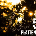 Plattenzeit #55: GAS – Zauberberg
