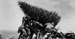 Von Weihnachten und vom Krieg