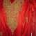 Kameez Fashion