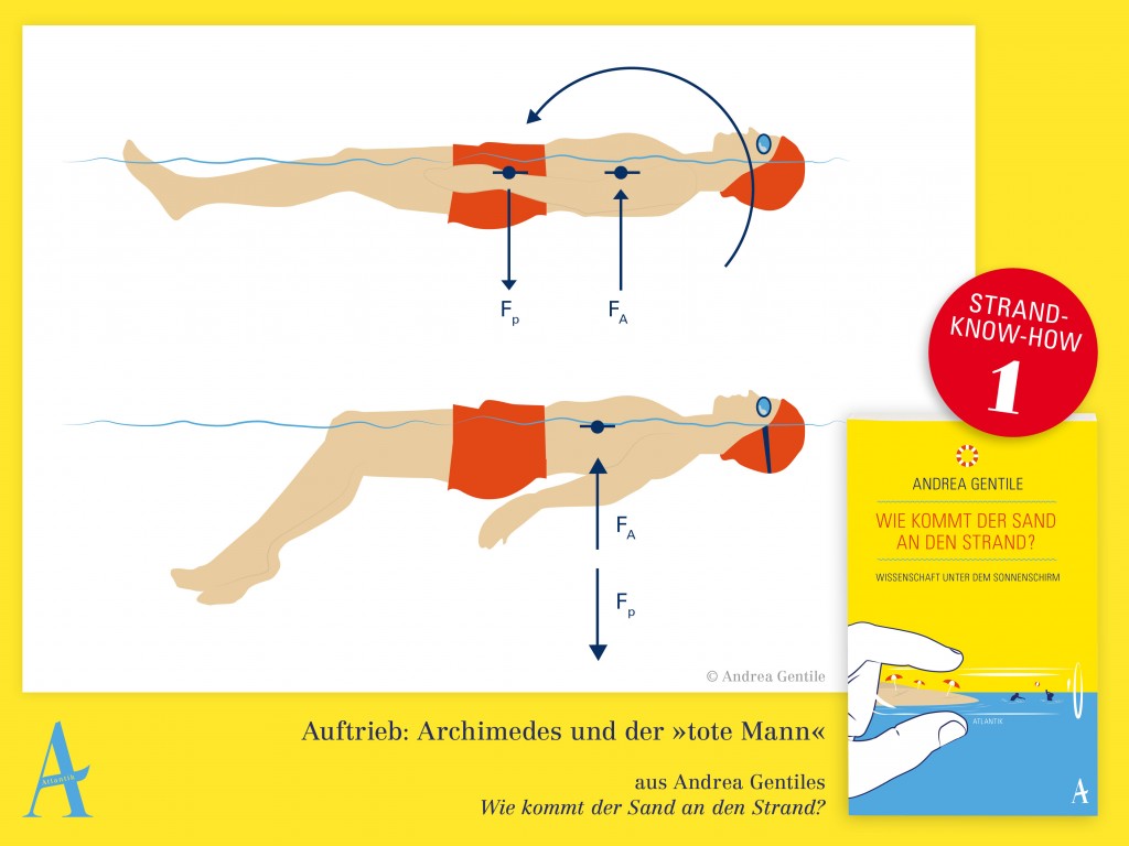 Auftrieb im Wasser: Strand-Fact Nr. 1 aus dem Buch "Wie kommt der Sand an den Strand" von Andrea Gentile