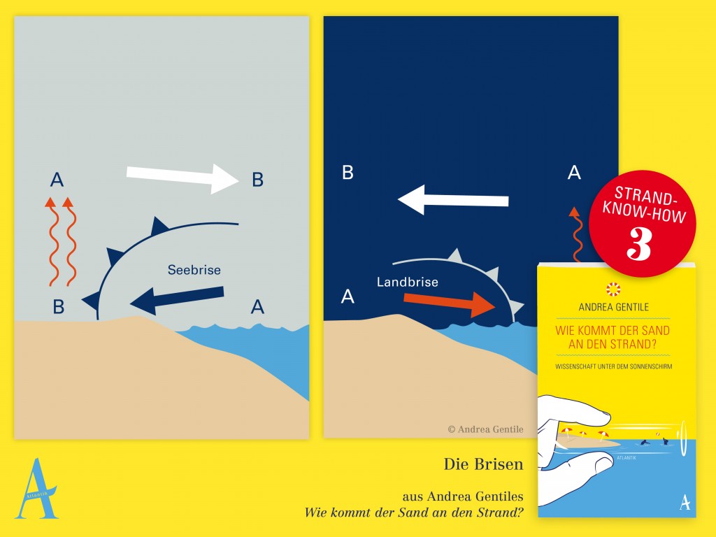 Seebrise und Landbrise: Strand-Fact Nr. 3 aus dem Buch "'Wie kommt der Sand an den Strand?" von Andrea Gentile