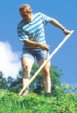 (c) Tiroler Bauernzeitung