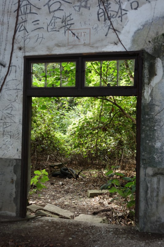 Fenster zur Wildnis © Leopold Federmair