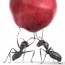 enterprise-2-0-and-intranet-1-0-how-two-problem-children-can-benefit-from-each-other