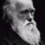 die-evolution-von-social-software-im-unternehmen-das-ende-der-reinen-wikis